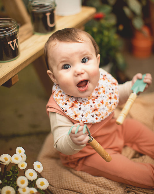 Peto evolutivo Coral semillas